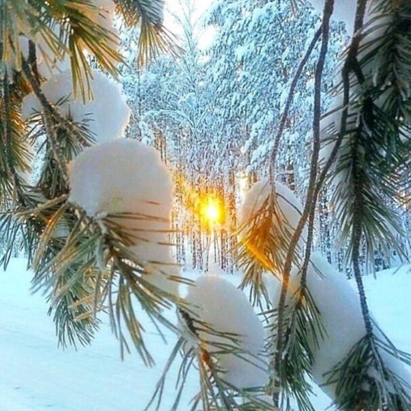 Доброе зимнее утро с Богом