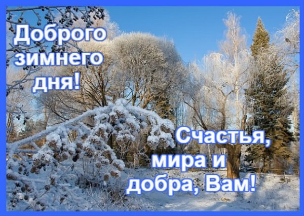 Доброе утро с птичками и пожелания