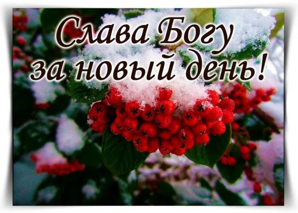 Зимняя Тайга