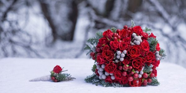 Красивые зимние цветы