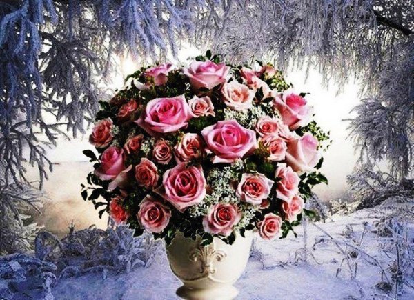 Красивые зимние цветы