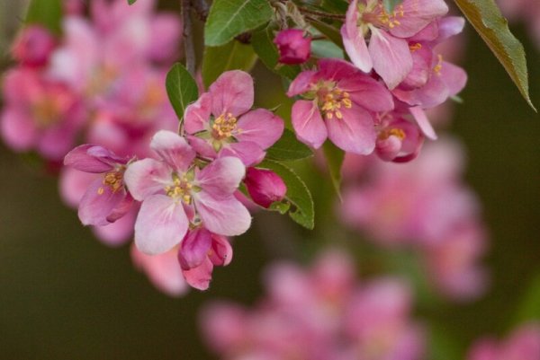 Поздравления с днём рождения Валентину