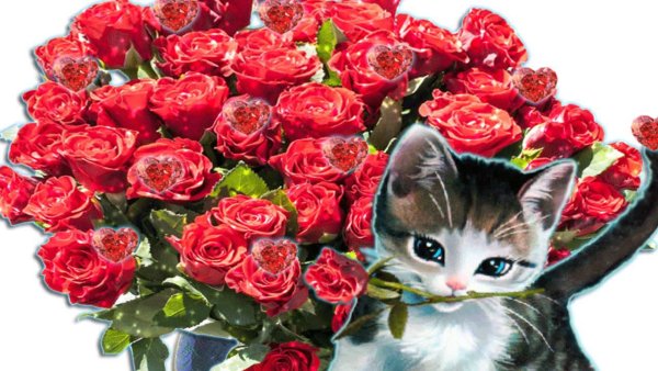 Моя подружка