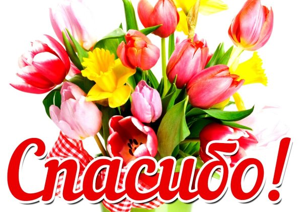 Огромное спасибо