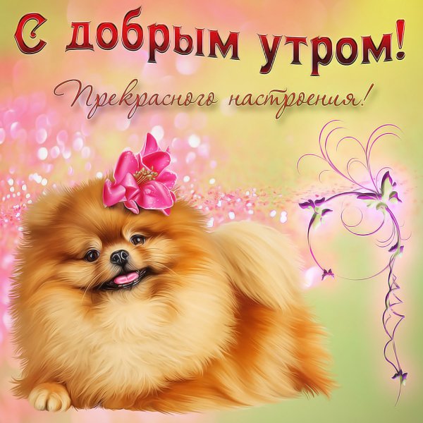 Открытки с добрым утром