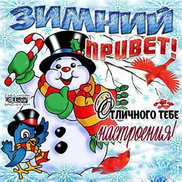 Зимний привет