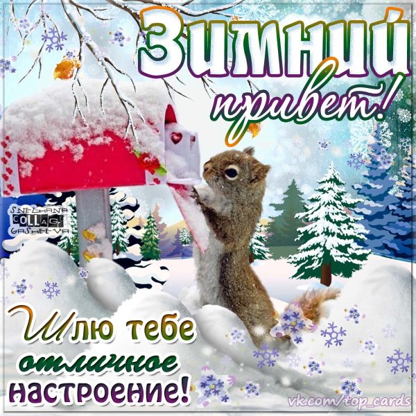 Зимний приветик открытки