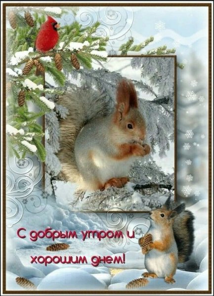 Зимние поздравления с добрым утром