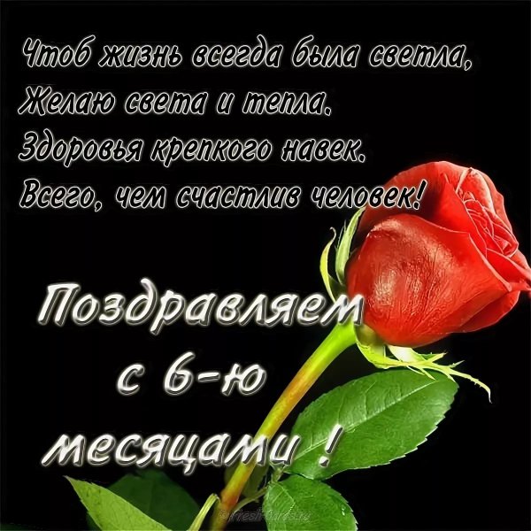Поздравления с днём 6 месяцев девочке родителям