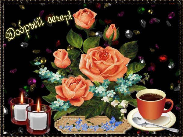 Добрый вечер Светлана