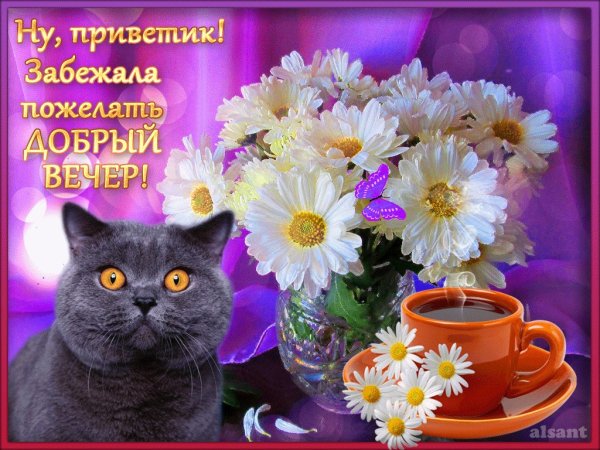 Поздравление с добрым вечером