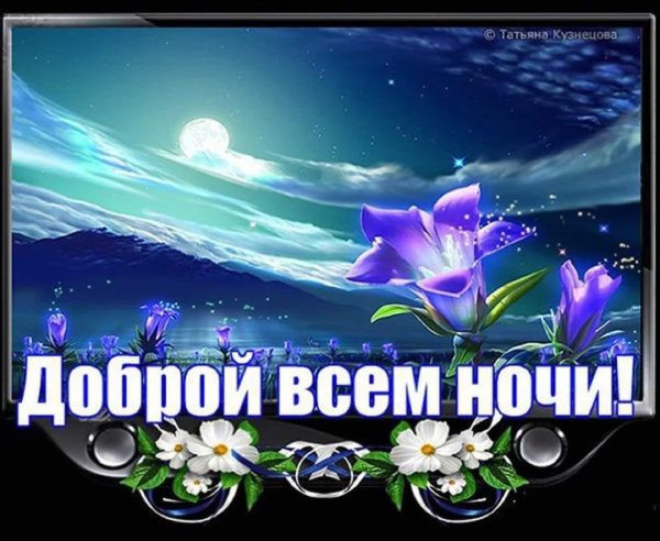 Доброго вечера и спокойной ночи