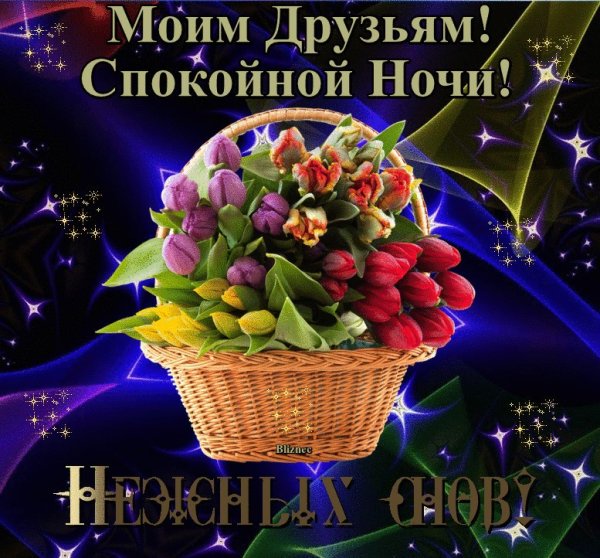 Доброй ночи друзья
