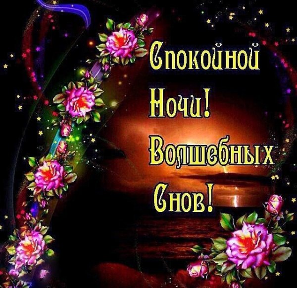 Спокойной ночи друзья