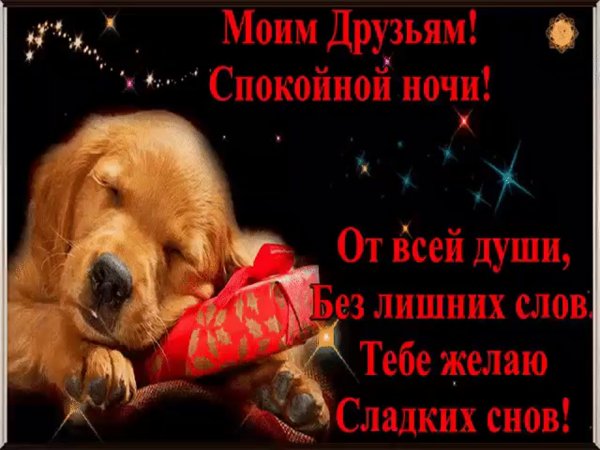 Спокойной ночи