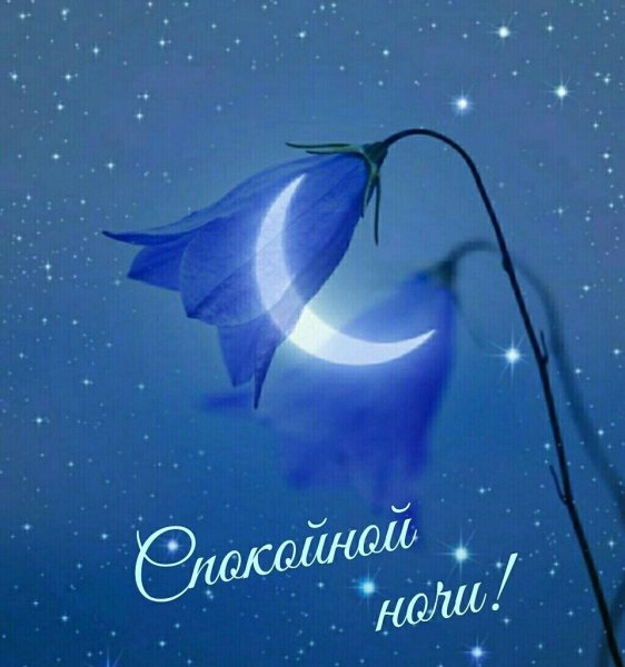 Доброй ночи красивых снов