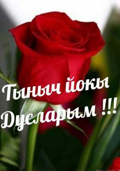 Открытки спокойной ночи на татарском языке