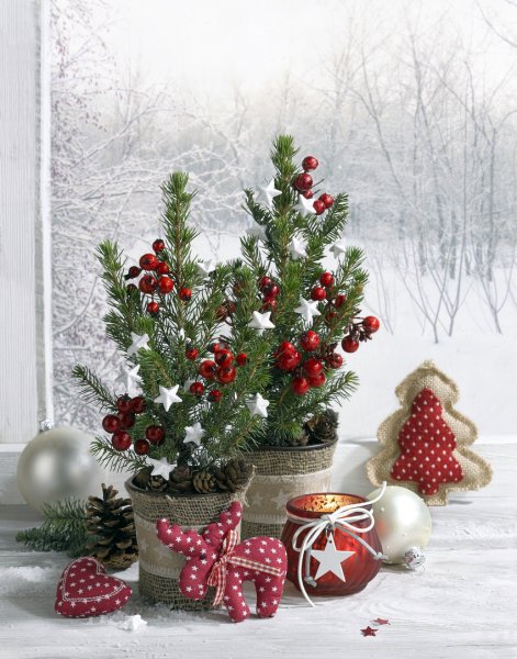 Доброе зимнее утро праздничного настроения