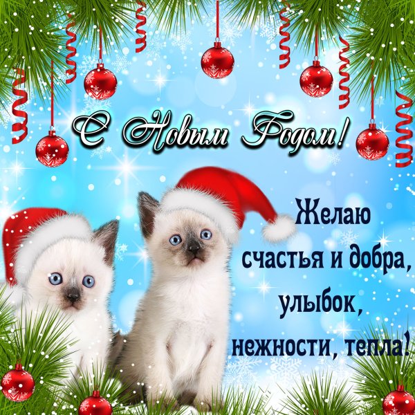 Милые поздравления с новым годом