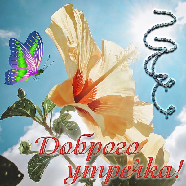 Пожелания с добрым УТ Р М