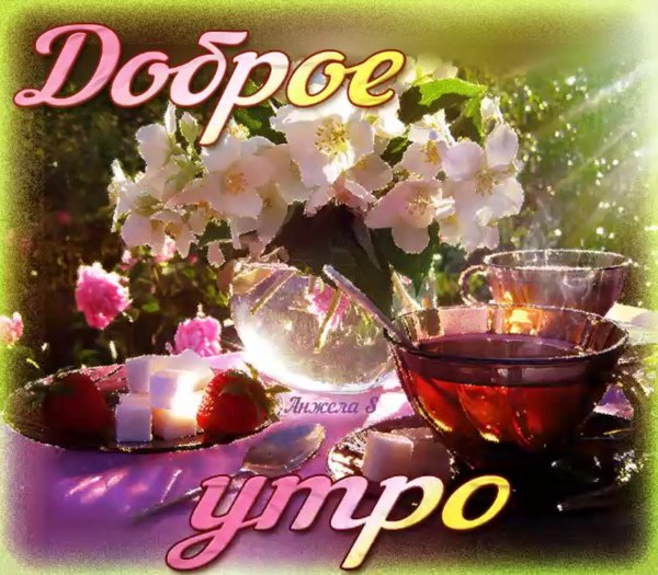 Доброго летнего утра и хорошего дня