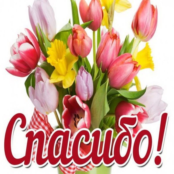 Стикер спасибо