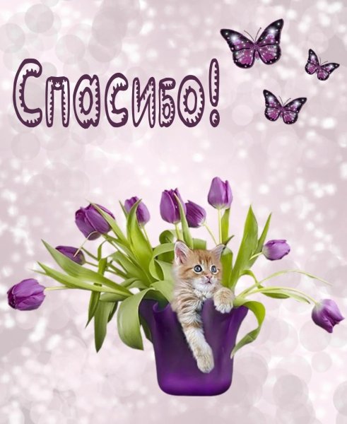 Открытки с благодарностью спасибо