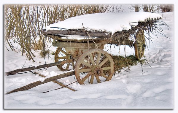 Всемирный день снега открытки