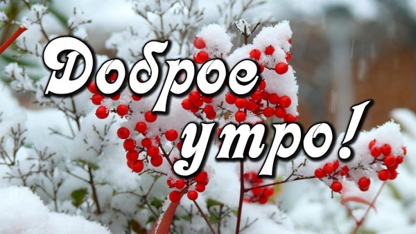 Открытки с первым снегом