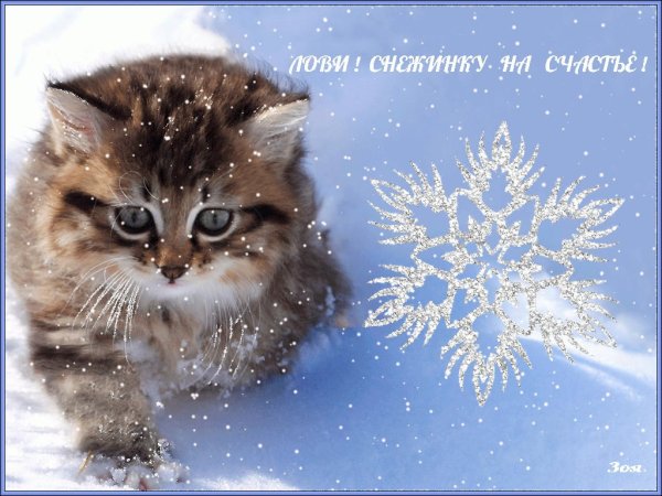 Открытка теплой зимы