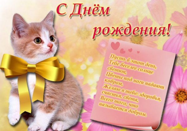С днем рождения