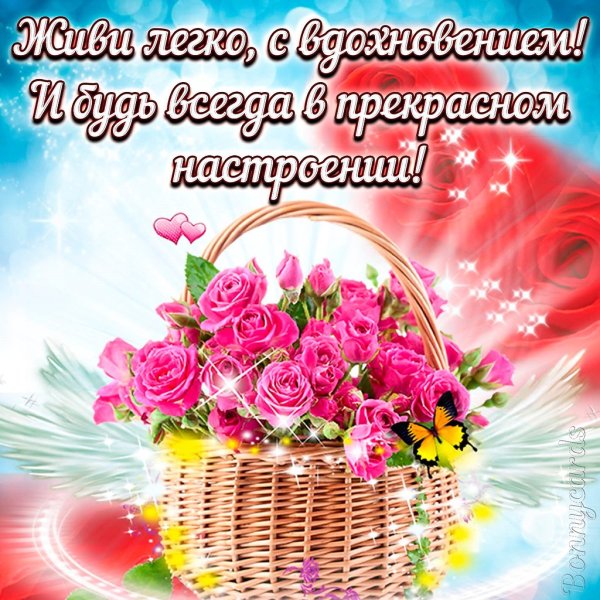 Цветы красивые нежные