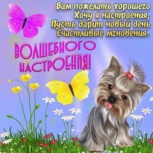 Хорошего дня и прекрасного настроения