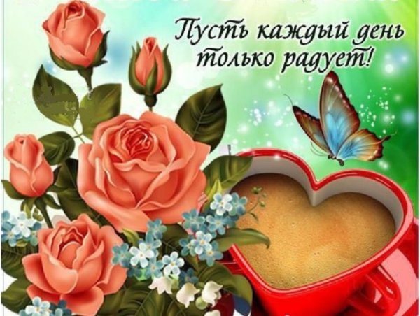 Поздравление с добрым днем