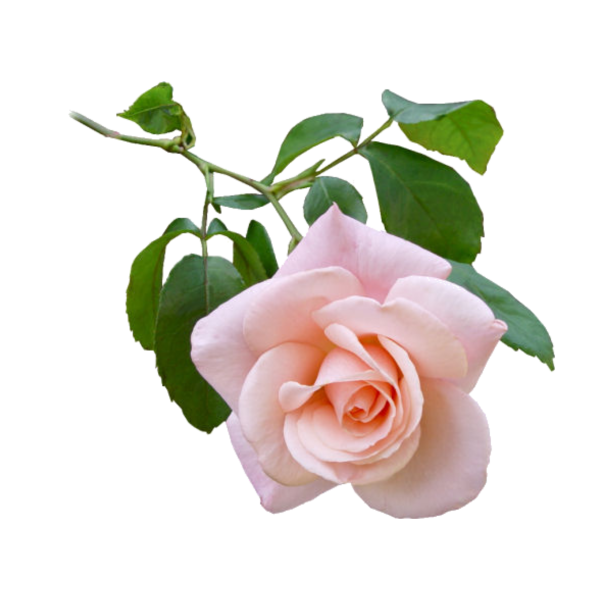 Откритка. Всё. Будет. Хорошо