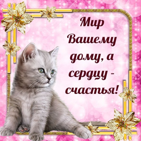 Поздравление на все случаи жизни