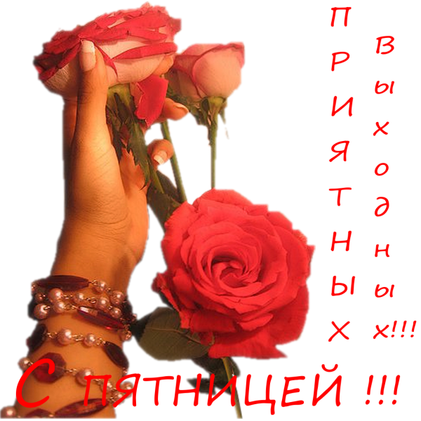 Красивые открытки на все случаи жизни