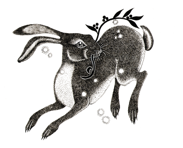 Кролик гравюра