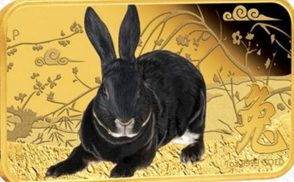 Черный водяной кролик