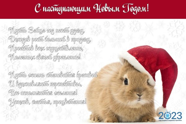 Кролик новый год