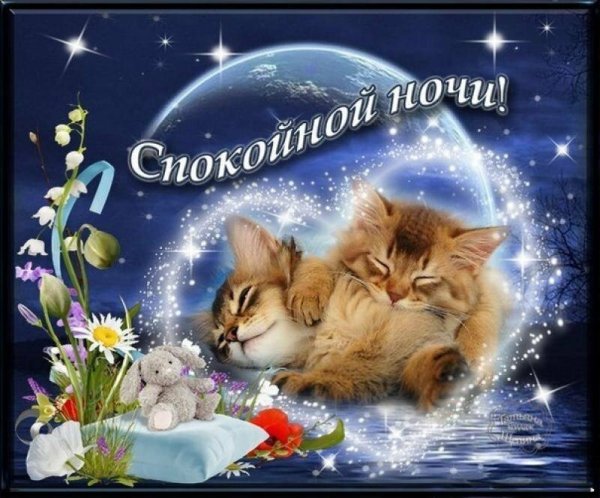 Спокойной ночи