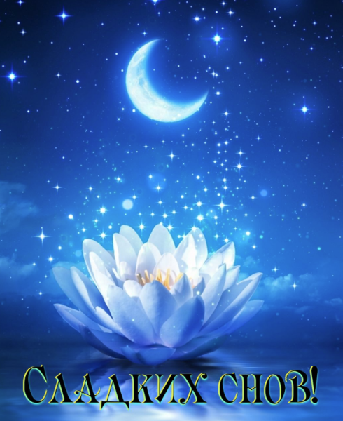 Поздравление спокойной ночи