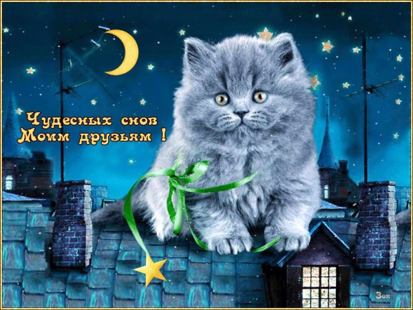 Пожелания спокойной ночи