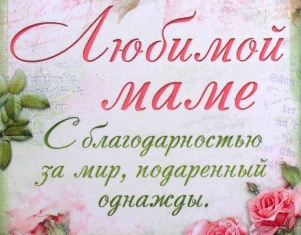 Ольга Фокина спасибо мамочка за жизнь