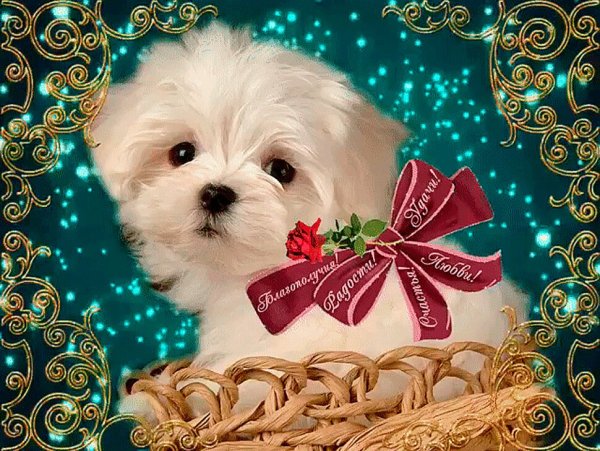 Мерцающие открытки