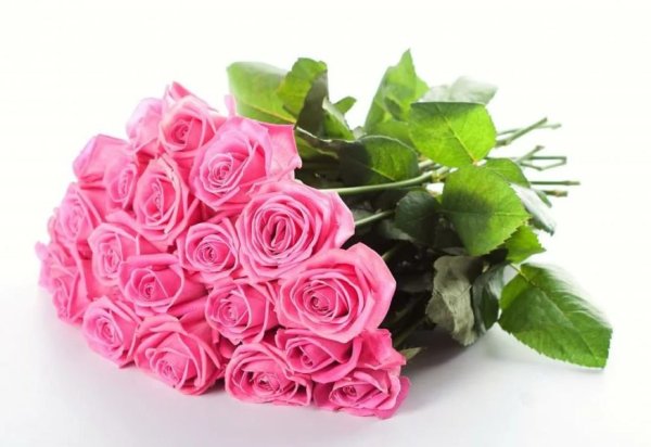 Букет розовых роз на прозрачном фоне