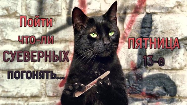 Пятница 13 черный кот