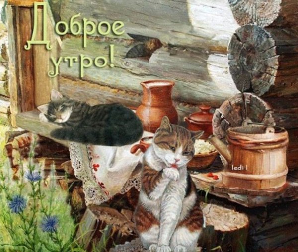 Старинные открытки с добрым УТ