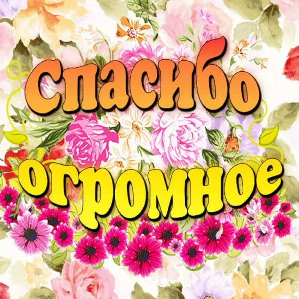 Открытки спасибо большое