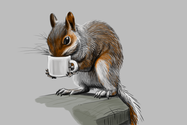 С добрым утром белка